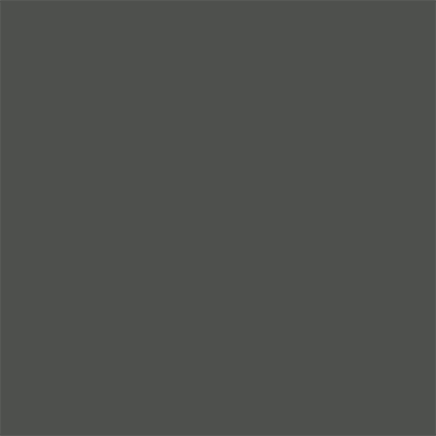 Altofina Grey 031 (Satin)
