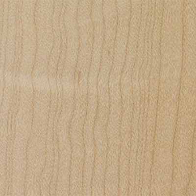 Maple, American Maple, American