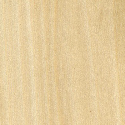 Poplar, American